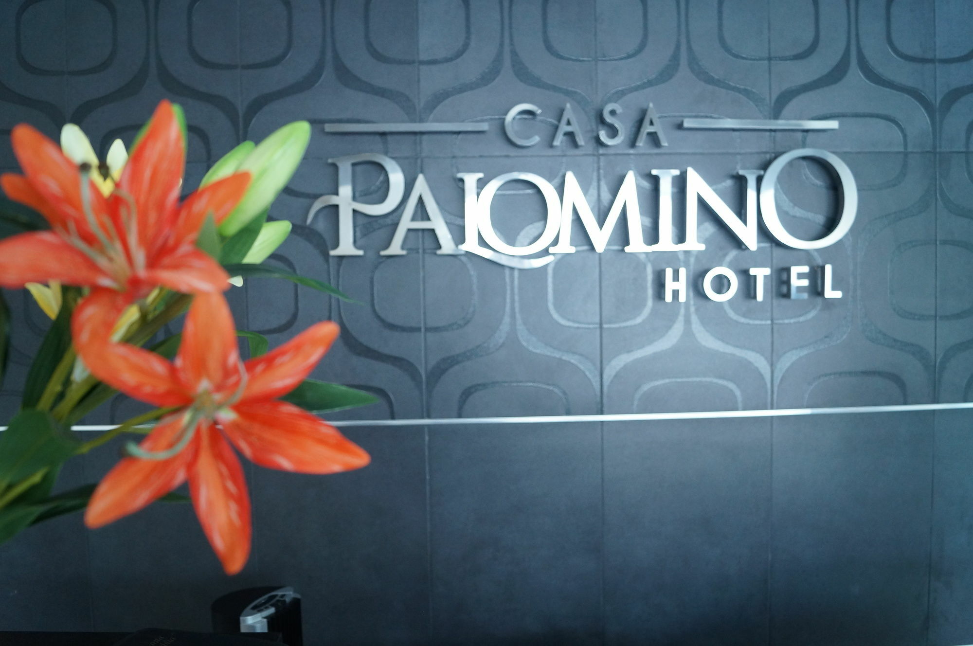 Hotel Casa Palomino Mérida Exterior foto